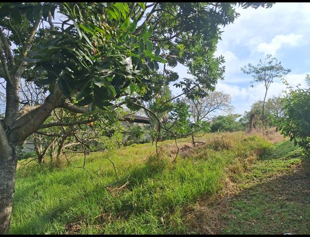 580M² VACANT LAND FOR SALE IN PALM LAKES ESTATE